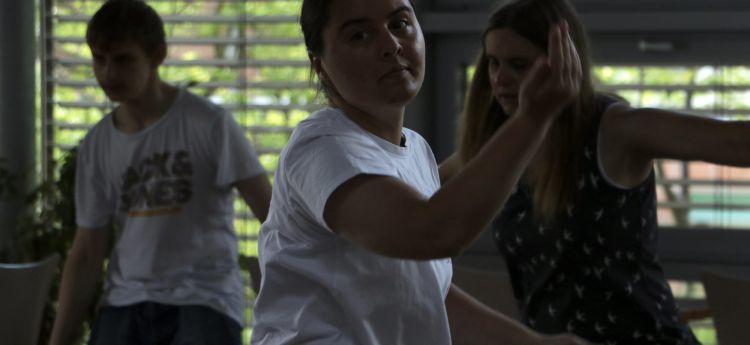 Cultural Echoes – where motion and voice unites all abilities